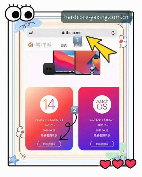 亚星年度硬核版手机版iOS版安装与配对新手指南